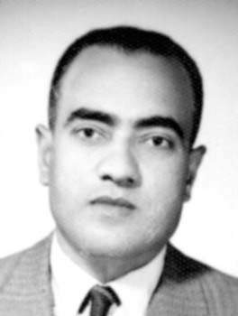 أحمد الحوفي